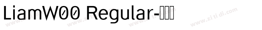LiamW00 Regular字体转换